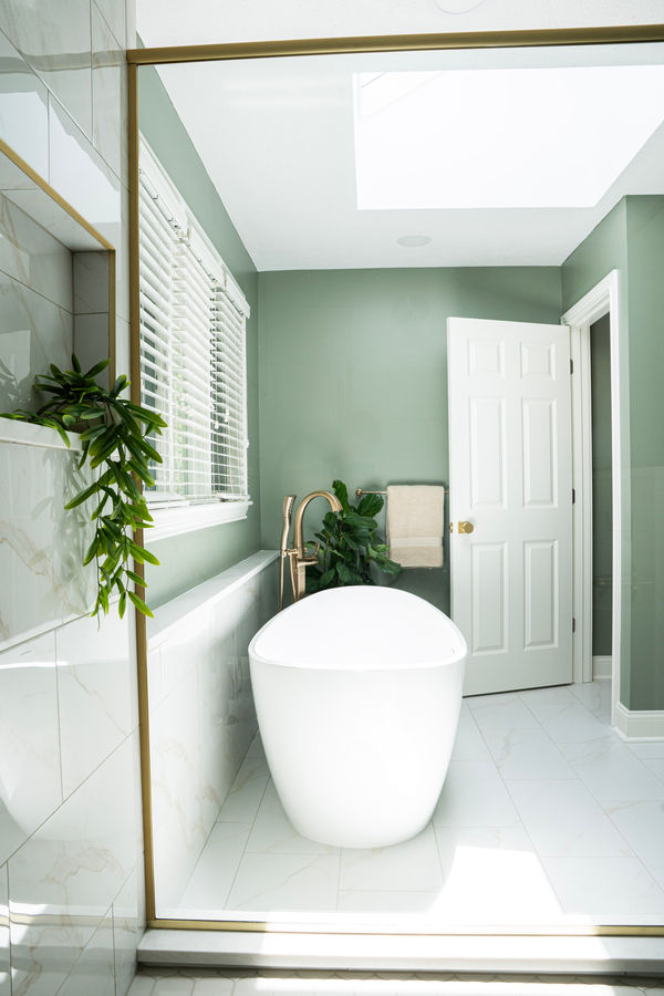 Colony Woods Bathroom - BK Interior Design project photograph